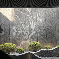 Flash--Wolves采集到庭院------天井