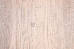 白色木质纹理背景。优雅的木纹立面。