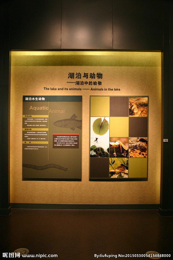 大庆博物馆展板