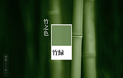 L明明就是我采集到S-色彩搭配
