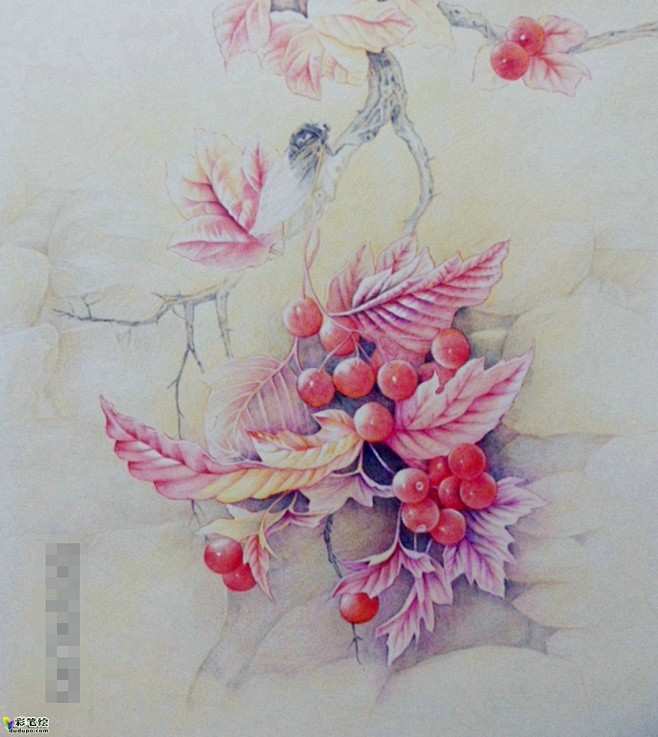 彩铅画-于俊杰- dudupo.com#...