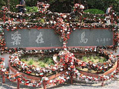 lgandy采集到旅游_千岛湖游-锁岛, 错