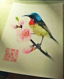 彩铅动物的 搜索结果_360图片