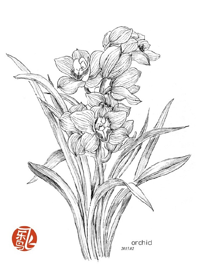 #飞乐鸟作品#《黑白花之绘》——用黑白重...