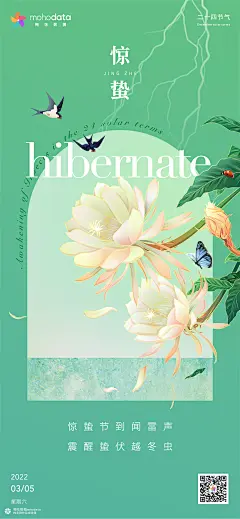 梅花数据24节气系列海报（立春、雨水、惊蛰）
