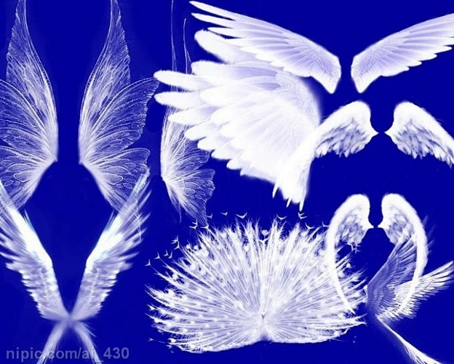 天使羽翼翅膀3