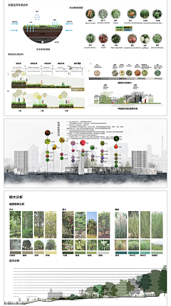 植物分析-花瓣网|陪你做生活的设计师 | 大区各空间思考