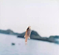 日本女摄影师川内伦子“轻薄的假象”：拍摄现实是可怕的