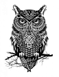 owl+tribal+tattoo+designs | Por si alguien quiere tatuarse un búho