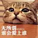 当当的世界