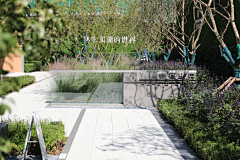 XingFuML采集到重庆香港置地壹号半岛