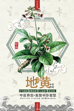 孤月&采集到中医药