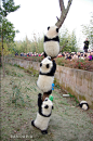 熊猫家园-pandapia
#14级熊猫宝宝班成长直播#今年首支熊猫肉串，现已限量发售。那么今天，就到这里吧[心]周末愉快！
