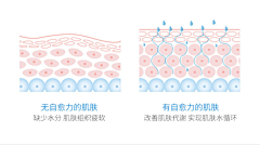 charyslriu采集到详情页-7水分/细胞图