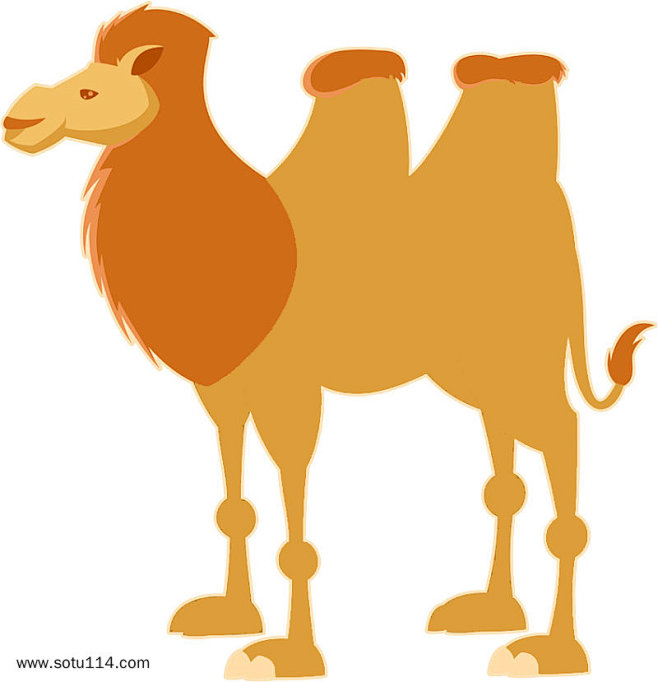 沙漠彩色手绘骆驼