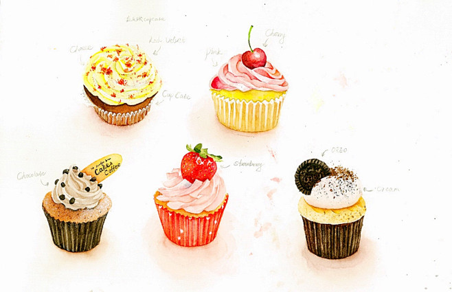 cupcakes-菜菜瑄瑄