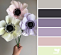 Design Seeds : Design Seeds color palettes ... posted daily for all who love color.