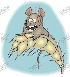 皮皮虾 【酷图网】吉祥物,贼眉鼠眼,衣衫褴褛,家穷四壁,老鼠洞,老鼠窝,耗子洞,儿童画,拟人老鼠,老鼠公主,漫画,鼠年,简笔画,老鼠夹,捕鼠器,偷东西,偷吃,猴子,猩猩,大猩猩,猴,吉吉国王,袋鼠,除四害,害虫,老鼠,卡通老鼠,漫画老鼠,耗子,动画,鼠,灰鼠,松鼠,拟人,人物,盲人,瞎子,偷油吃,上灯台,米老鼠