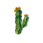 水彩仙人掌插画 png元素免扣 cactus12
