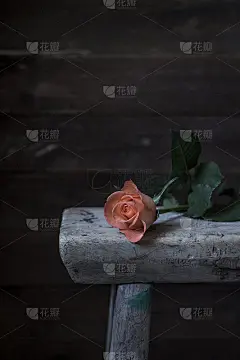 桔色玫瑰放在粗糙的木凳上