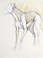 The Rescue I, by Jo Taylor-- Contour lines and light washes of color. Inspiration for equestrian painting: 