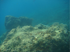 wangjun2000采集到飞奔热浪岛，偷的浮生