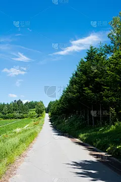 天空,路,蓝色,直的,垂直画幅,贺卡,留白,枝繁叶茂,云,无人
