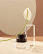 ＠chase_J 采集 - So Herbs on Behance-14