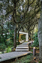 La casa en el bosque por OFFICINA29architetti (3): 