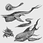 Sea creatures sketches