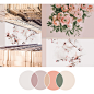 Fresh Palette 32 | Seed Design Consultancy