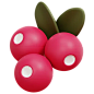 Berries 3D Icon