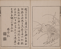 牧屿-采集到历代名公画谱