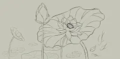 清莲