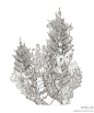 大师建筑线稿