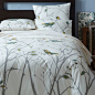 Organic Sparrow Song Duvet Cover + Shams | West Elm