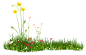 草花