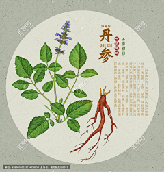 ao雅也采集到药