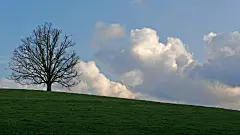 自然风景壁纸图片