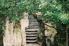 櫻花下的蒼涼采集到风景·庭院