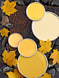 Top Yellow Paint Colors