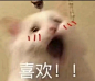 (80 条消息) 有没有适合情侣之间发的表情包? - 知乎