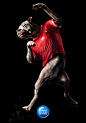 Veikkaus_Football_Betting_Bulldog