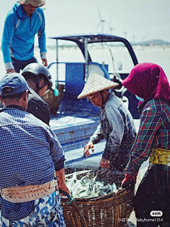 在河之洲i采集到海鲜