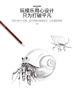 玩模乐仿真海底动物海洋生物模型中华鲎螃蟹寄居蟹帝王蟹儿童玩具-tmall.com天猫