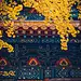 采集图片