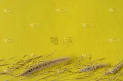 模型。在明亮的黄色织物背景上的草的干小穗。