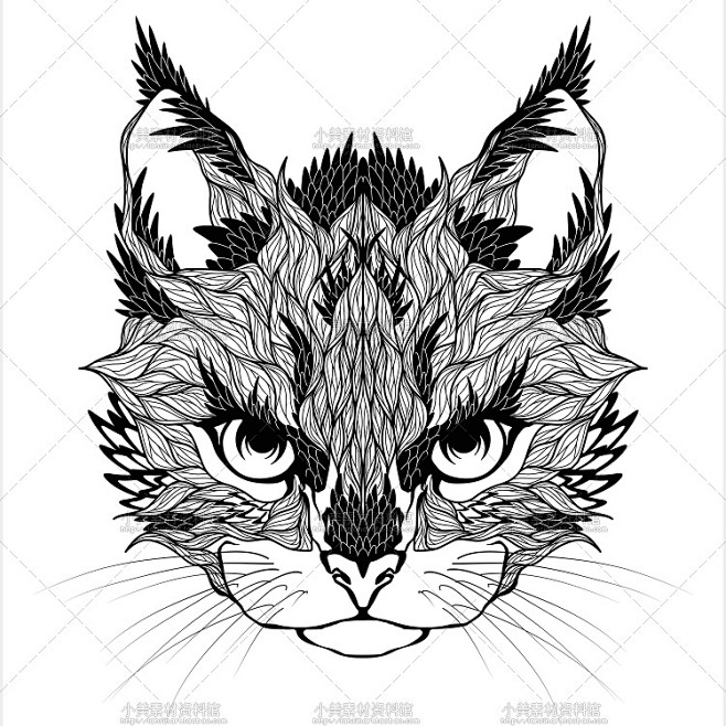 手绘宠物动物猫头鹰狼虎狮子鹿头像装饰插画...