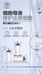 冻干粉溶媒精华液海报-志设网-zs9.com