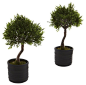 Bonsai Silk Plants, Set of 3 - Asian - Artificial Flowers Plants And Trees - by Covered In Style Inc